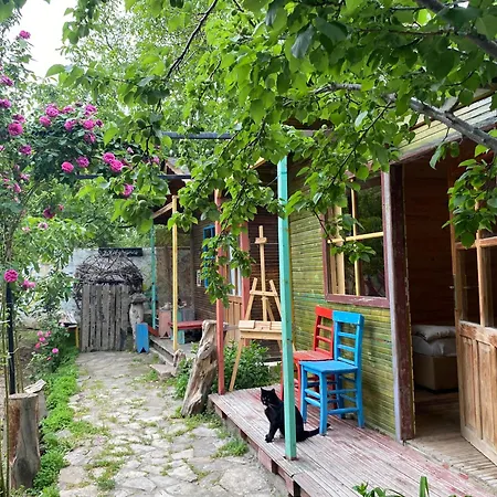 Philosophy Hotel