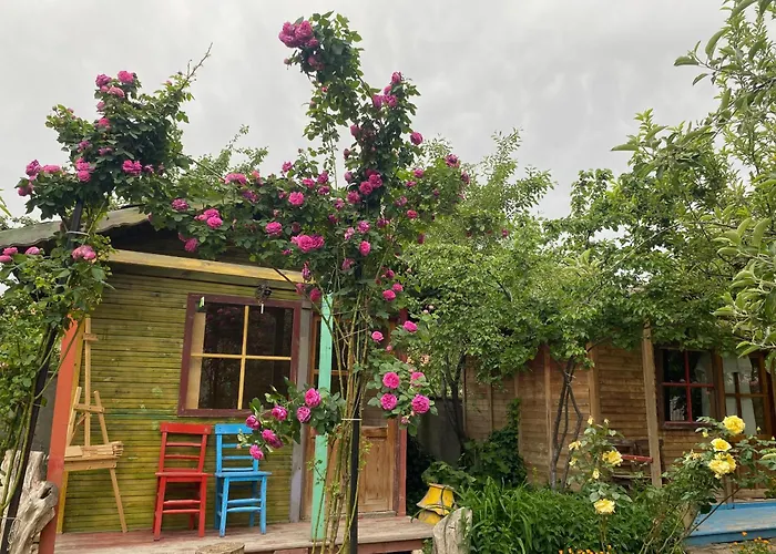 Szálloda Philosophy Üçhisar