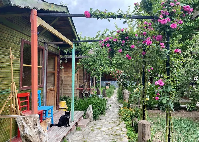 Philosophy Szálloda